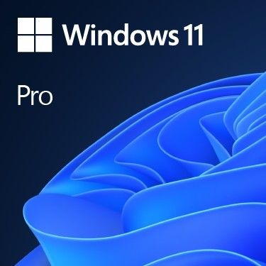Лицензия на розничную продажу Windows 11 Pro для Ultimate Performance X86 64 Тип процессора английский/французский/английский/итальянский/польский/японский