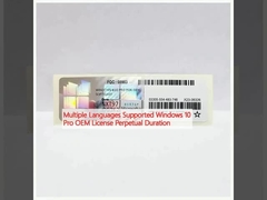 Поддержка нескольких языков Windows 10 Pro OEM License Perpetual Duration